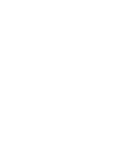 L'Intrus
